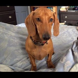 Meet your Posher, Tracy